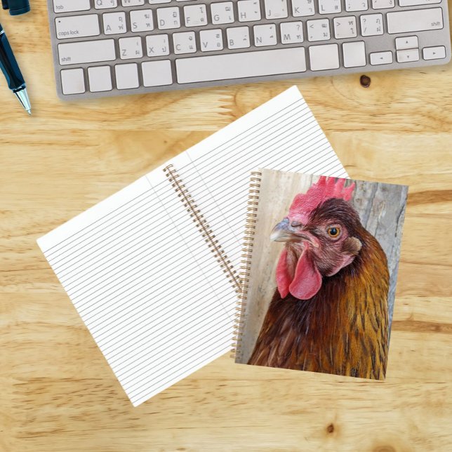 Cuaderno Foto de gallina roja (In Situ)
