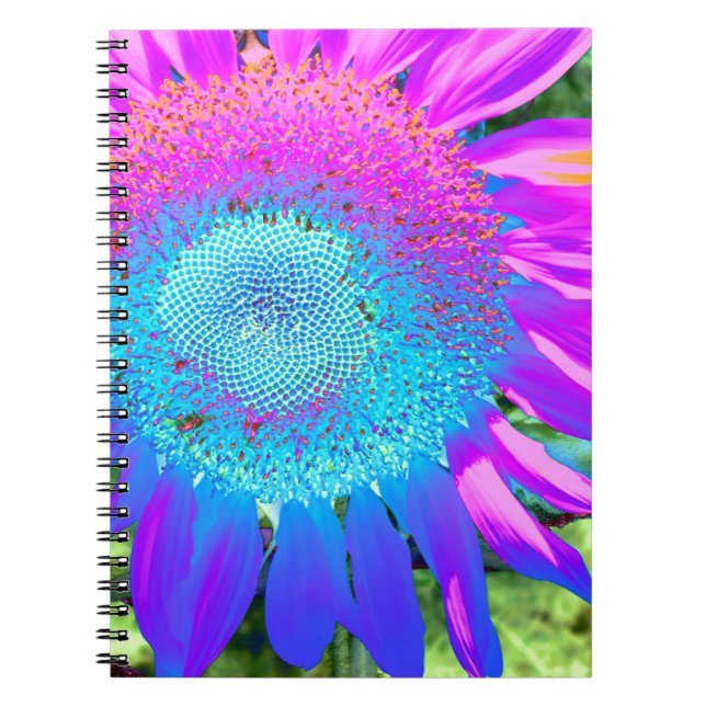 Cuaderno Foto de girasol retro rosa azul (Frente)