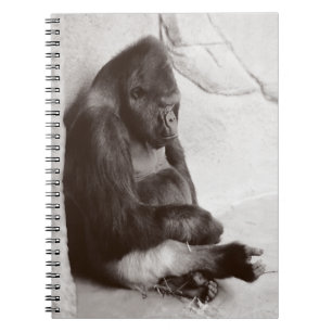 Cuaderno Foto de gorilla de Napping