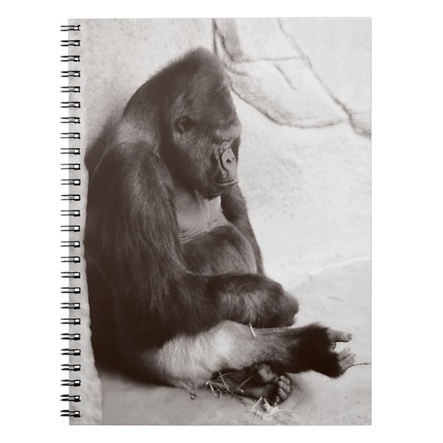 Cuaderno Foto de gorilla de Napping (Frente)