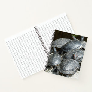Cuaderno Foto de grupo de tortugas de estanque