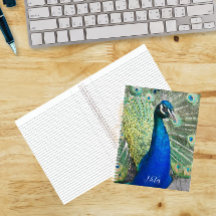 Foto de hermosas plumas de pavo real azul