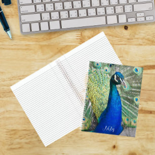 Cuaderno Foto de hermosas plumas de pavo real azul