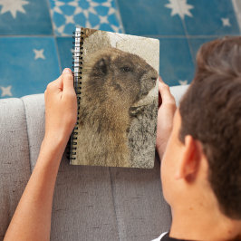Cuaderno Foto de Hoary Marmot Wildlife