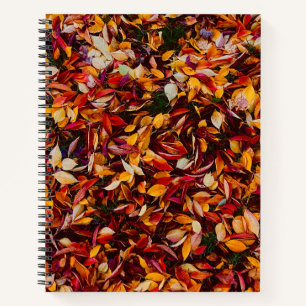 Cuaderno Foto de hojas de follaje de color de otoño