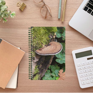 Cuaderno Foto de hongo de soporte de la naturaleza
