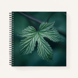 Cuaderno Foto de Humulus Nature