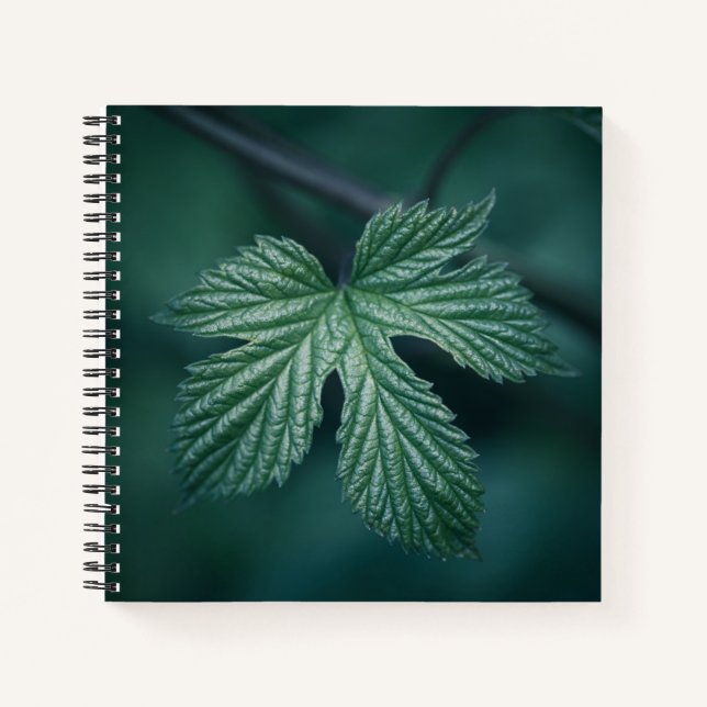 Cuaderno Foto de Humulus Nature (Anverso)