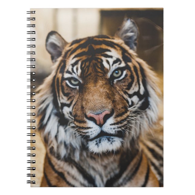 CUADERNO FOTO DE LA CARA DE TIGER (Frente)