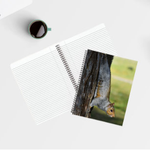 Cuaderno Foto de la naturaleza de la ardilla gris oriental
