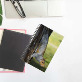 Cuaderno Foto de la naturaleza de la ardilla gris oriental