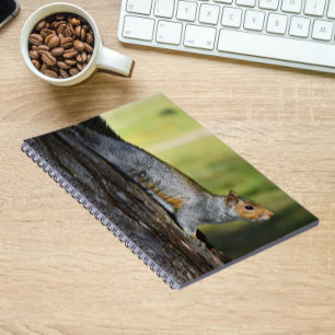 Cuaderno Foto de la naturaleza de la ardilla gris oriental