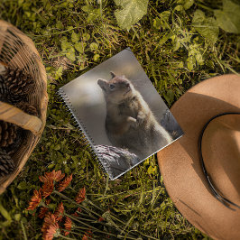 Cuaderno Foto de la naturaleza de la ardilla subterránea me
