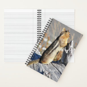 Cuaderno Foto de la naturaleza de la ardilla terrestre con