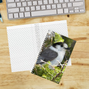 Cuaderno Foto de la naturaleza de la chara gris