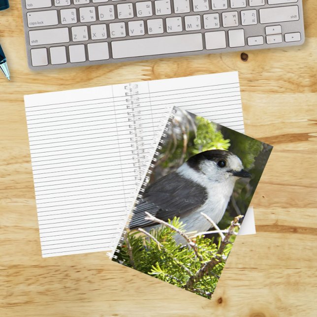 Cuaderno Foto de la naturaleza de la chara gris (In Situ)