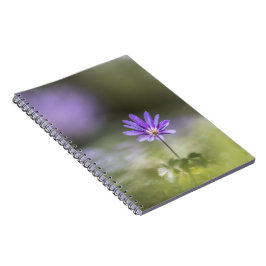 Cuaderno Foto de la Naturaleza de los Aceitunas Griegos