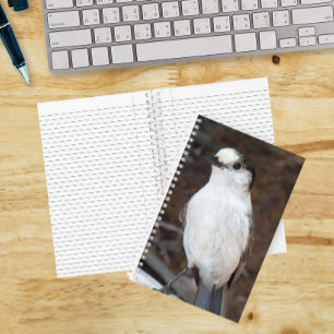 Cuaderno Foto de la naturaleza de un arrendajo de Canadá li