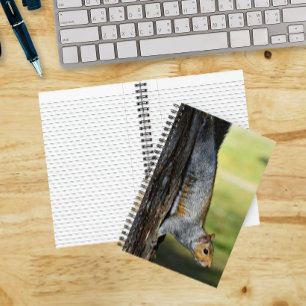 Cuaderno Foto de la naturaleza de una ardilla gris oriental