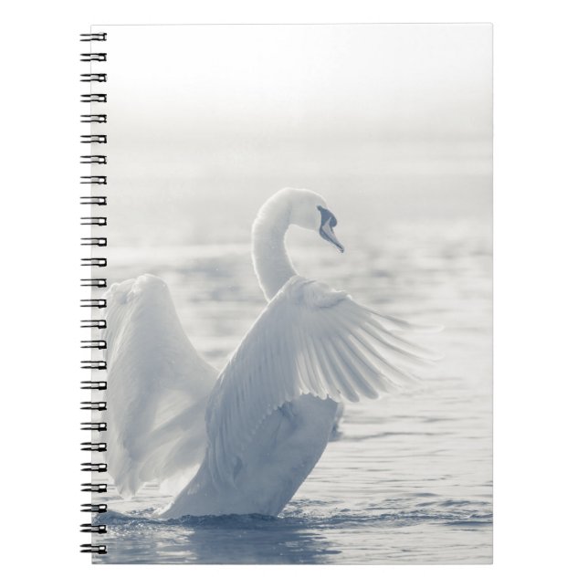 Cuaderno Foto de la naturaleza del cisne blanco (Frente)