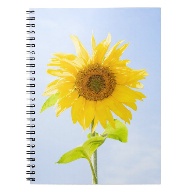 Cuaderno Foto de la naturaleza del girasol (Frente)