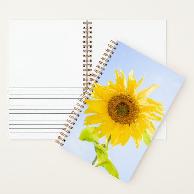 Cuaderno Foto de la naturaleza del girasol (Interior)