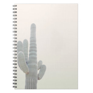 CUADERNO FOTO DE LA PLANTA GRIS CACTUS