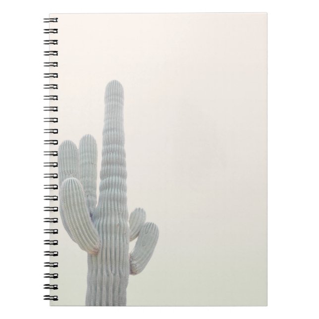 CUADERNO FOTO DE LA PLANTA GRIS CACTUS (Frente)