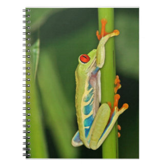 Cuaderno Foto de la rana arbórea