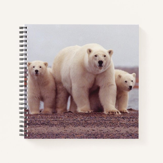 Cuaderno Foto de madre de oso polar y crías (Anverso)