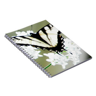 Cuaderno Foto de mariposa de cola Swallowtail de tigre orie