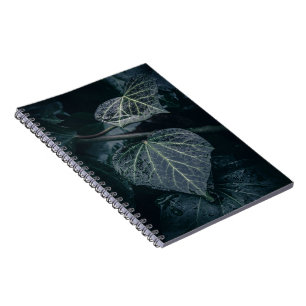 Cuaderno Foto de Moody Ivy Nature