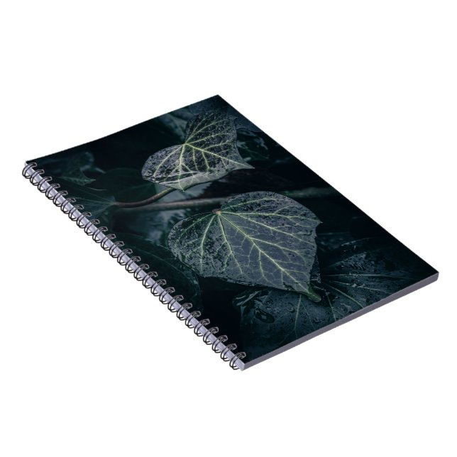 Cuaderno Foto de Moody Ivy Nature (Lado Derecho)