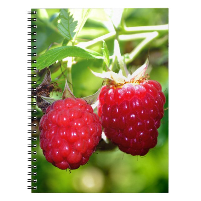 Cuaderno Foto de moras frescas frambuesas fruta (Frente)