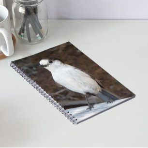 Cuaderno Foto de naturaleza de Whiskey Jack lindo