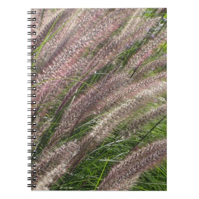 Cuaderno foto de naturaleza hermosa, hierba pampas - diario (Frente)