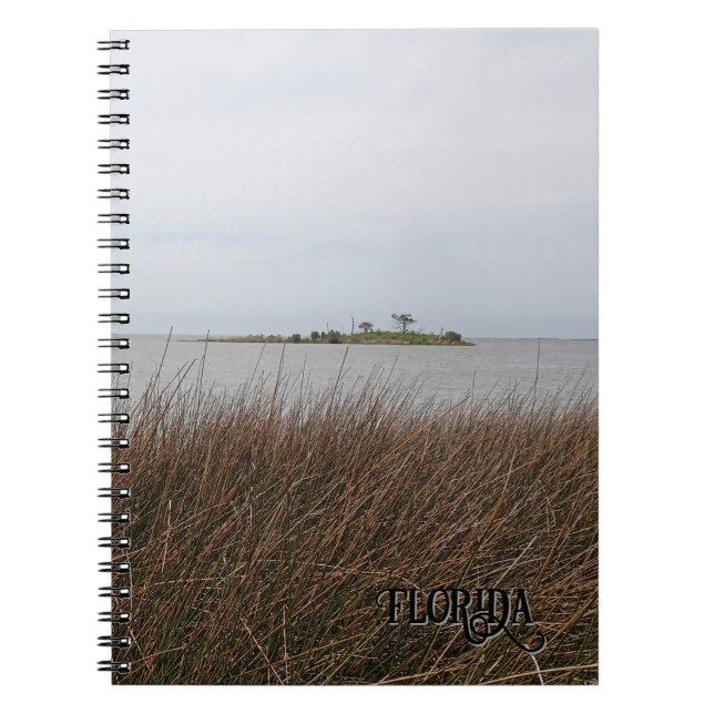 Cuaderno Foto de Needlerush prohibida en la playa del golfo (Frente)