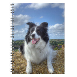Cuaderno Foto de perro Border Collie lindo
