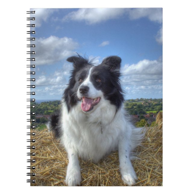 Cuaderno Foto de perro Border Collie lindo (Frente)