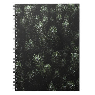 Cuaderno Foto de planta de abeto verde