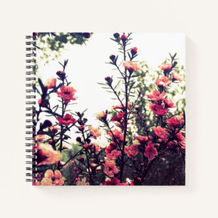 Cuaderno Foto de prado silvestre de flor de cerezo rosa