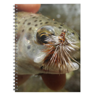 Cuaderno Foto de Rainbow Trout