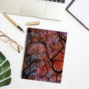 Cuaderno Foto de ramas de arce japonesas de otoño