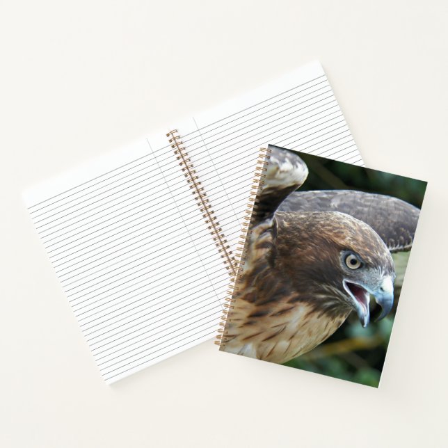 Cuaderno Foto de rapaz Halcón de Cola Roja (Interior)