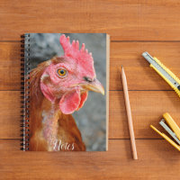 Foto de Red Star Chicken Hen