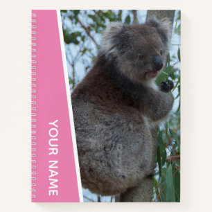 Cuaderno Foto de retrato de koala de Australia, chicas rosa