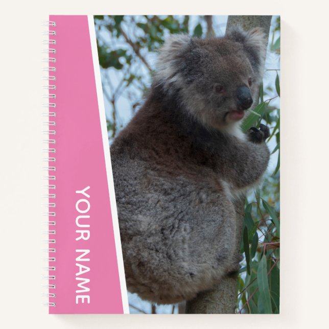 Cuaderno Foto de retrato de koala de Australia, chicas rosa (Anverso)