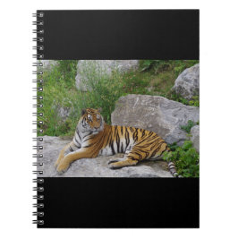 Cuaderno Foto de retrato de un tigre siberiano