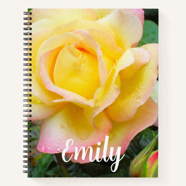 Cuaderno Foto de Rosa de Paz (Anverso)