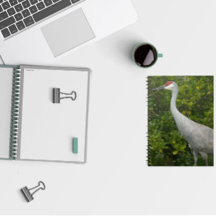 Cuaderno Foto de Sandhill Crane Bird Green Leaks